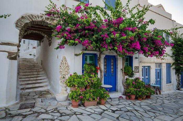 Tinos Blue White Houses Flowers xgrei Island Cyclades