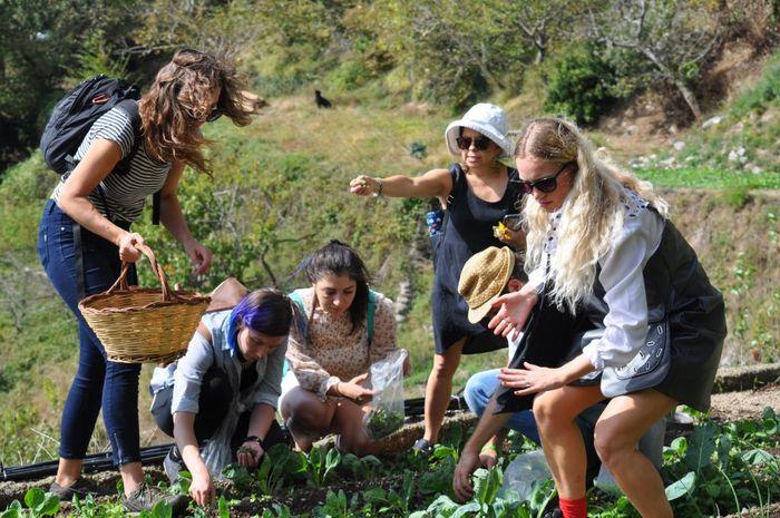 Gastronomic Trekking