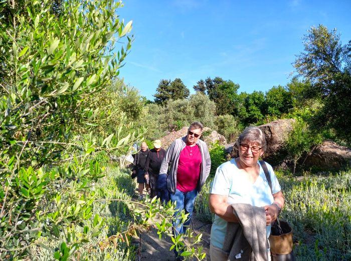 maravel garden crete