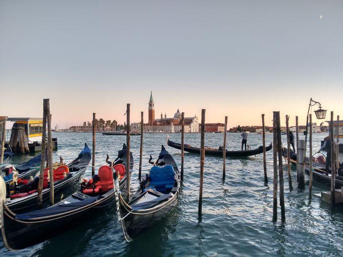 Venice, Sapio